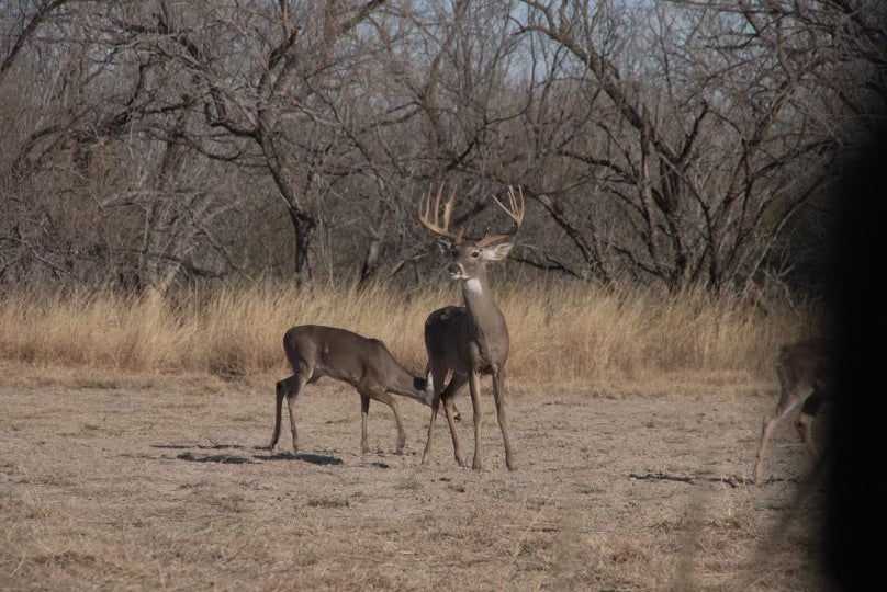 Final Hunts, Trade Shows, and New Product Drops