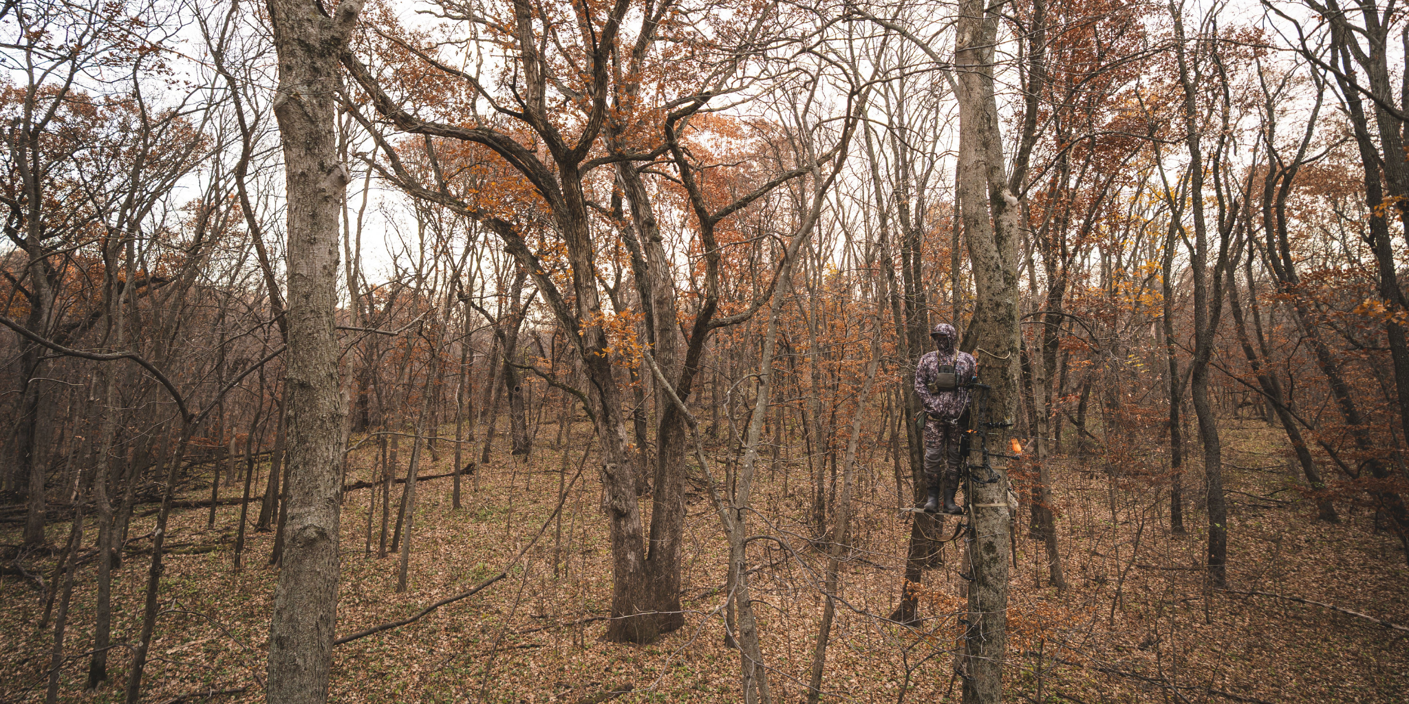 hunter wearing asio gear bowhunting gear walking into woods to hunt during whitetail rut.