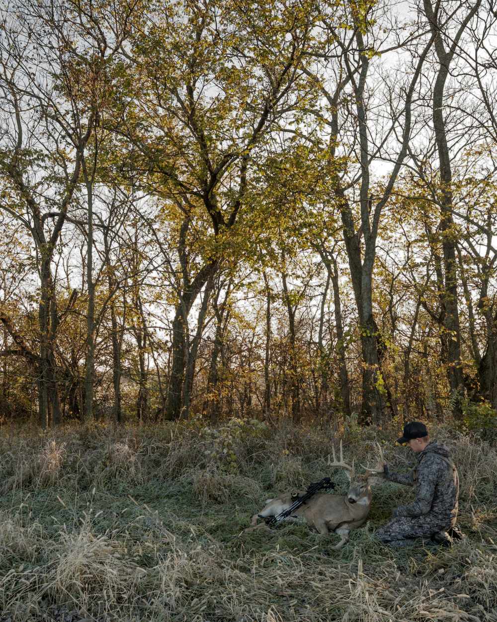 Whitetail bowhunter wearing ASIO Gear camo kneeling beside a harvested buck in a frosty hardwood edge at sunrise, showcasing treestand-style concealment and elite whitetail hunting performance.